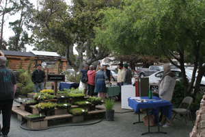 Beautiful Sage ECO-Gardens hosted this event.