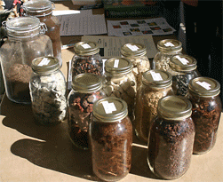 Photo of jars of different mulches